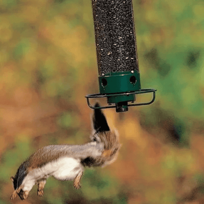 No-Squirrel Bird Feeder - Keep the squirrels at bay and let the birds play! - Jess Garden