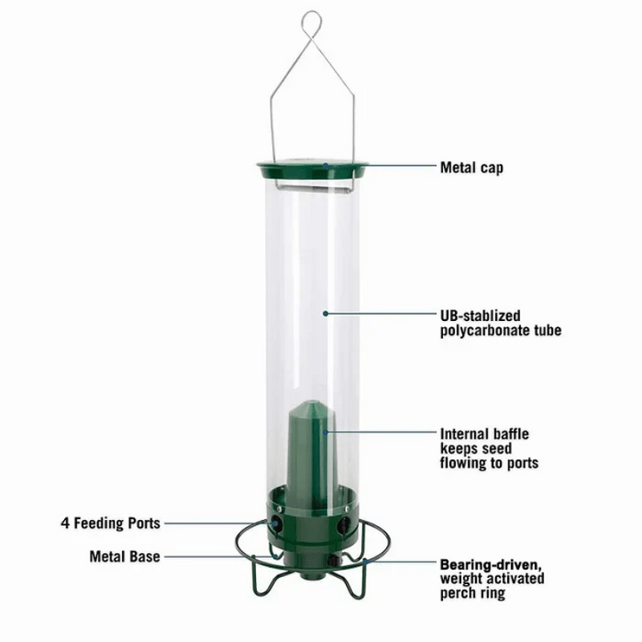 No-Squirrel Bird Feeder - Keep the squirrels at bay and let the birds play! - Jess Garden