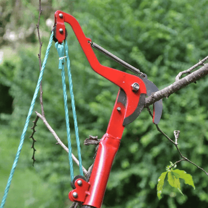 HightCut™ - Telescopic High Branch Shears - Jess Garden