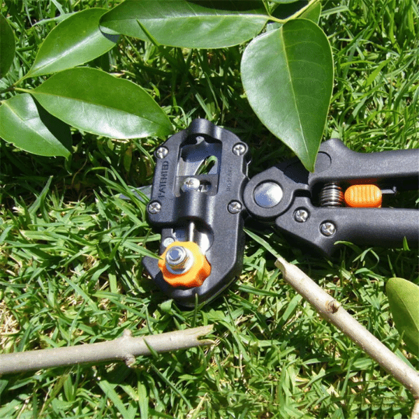 GraftMaster™ - Pruning and Grafting Scissors - Jess Garden