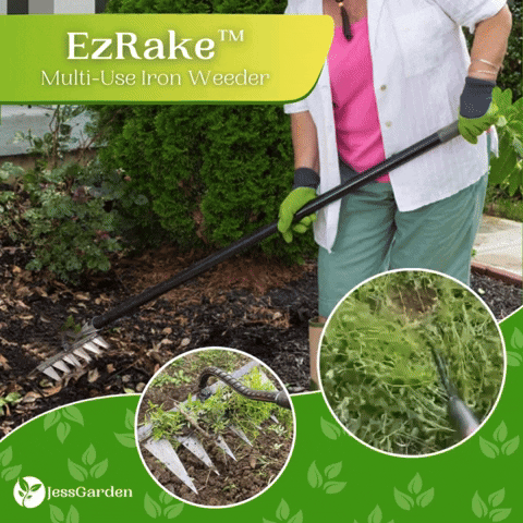 EzRake™ Multi-Use Iron Weeder - Quick Garden Care